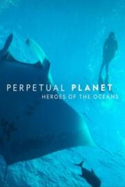 ดูหนังออนไลน์ฟรี Perpetual Planet- Heroes of the Oceans (2021) บรรยายไทย