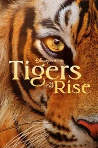 ดูหนังออนไลน์ฟรี ไทเกอร์ ออน เดอะ ไรส์ Tigers on the Rise (2024)